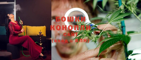 mix Богородицк