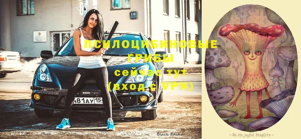 эйфоретик Богородск
