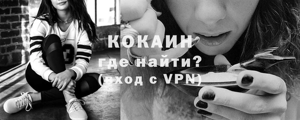 mix Богородицк