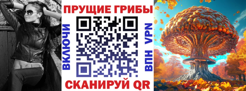 Галлюциногенные грибы Psilocybine cubensis  Орск 